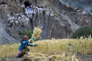 Phuktal Monastery, Zanskar Phuktal Monastery, Zanskar