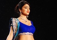 Shriya Saran too hot in blue saree showing her slim belly