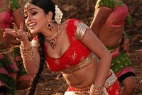 Shamna Kasim hot wallpapers