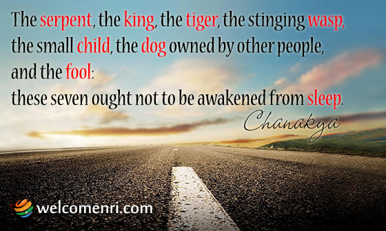 The serpent, the king, the tiger, the stinging wasp, the small child, the dog owned by other people, and the fool: these seven ought not to be awakened from sleep.