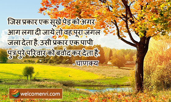 As a single withered tree, if set aflame, causes a whole forest to burn, so does a rascal son destroy a whole family.
