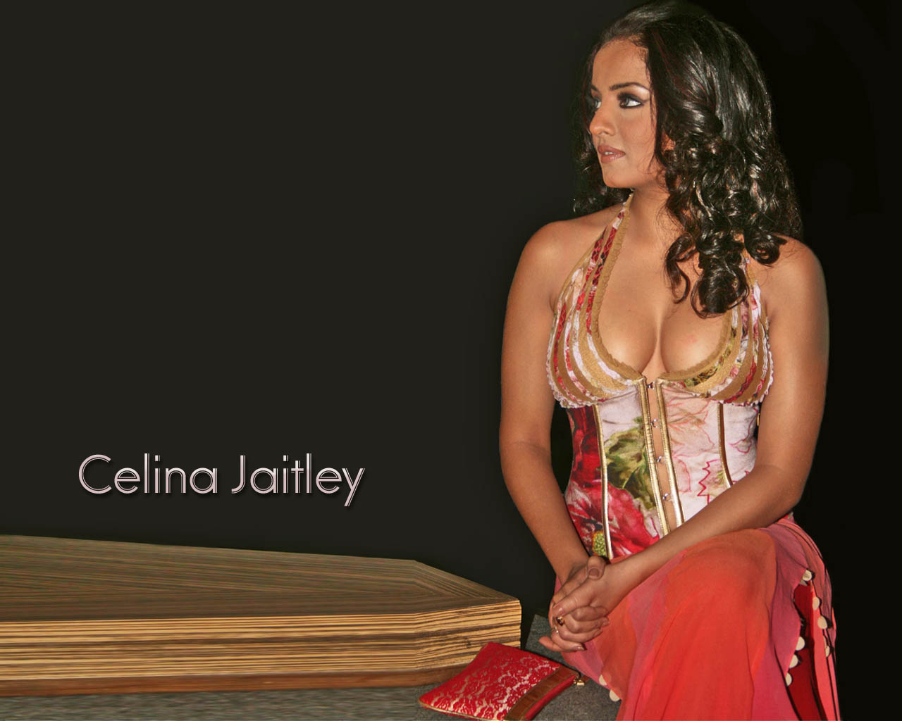 Celina Jaitley Hot & Bold Wallpaper