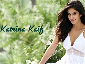 Katrina Kaif Hot & Bold wallpaer and images