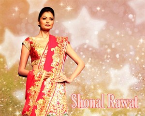 Shonal Rawat hot in saree