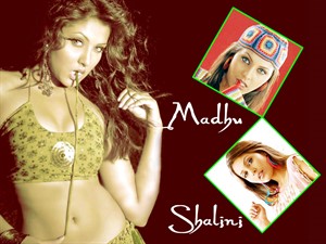 Madhu Shalini HD Wallpaper