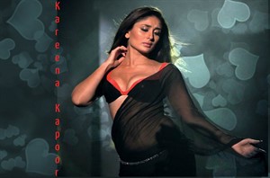 Kareena Kapoor wallpaper,kareena new images,kareena kapoor hot images,kareena kapoor new movie image,hot kareena in shree

