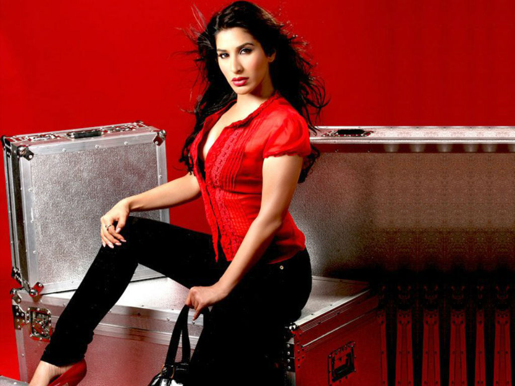 Sophie Choudry Wallpapers