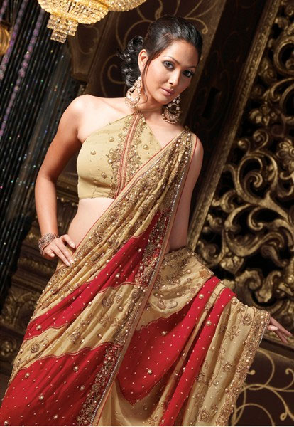 Bridal Sarees - The beautiful and sexy look