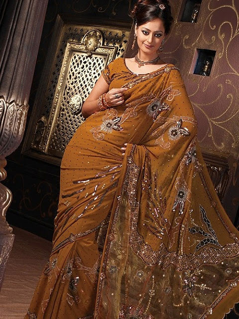 Bridal Sarees - The beautiful and sexy look