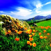 Wonders of India Which Are Truly Spectacular and Amazing