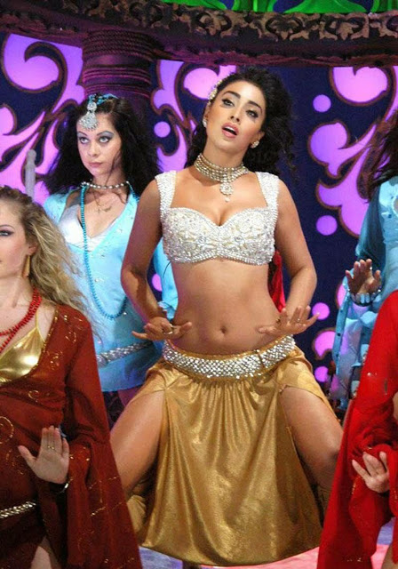 Shriya Saran Seductive Poses