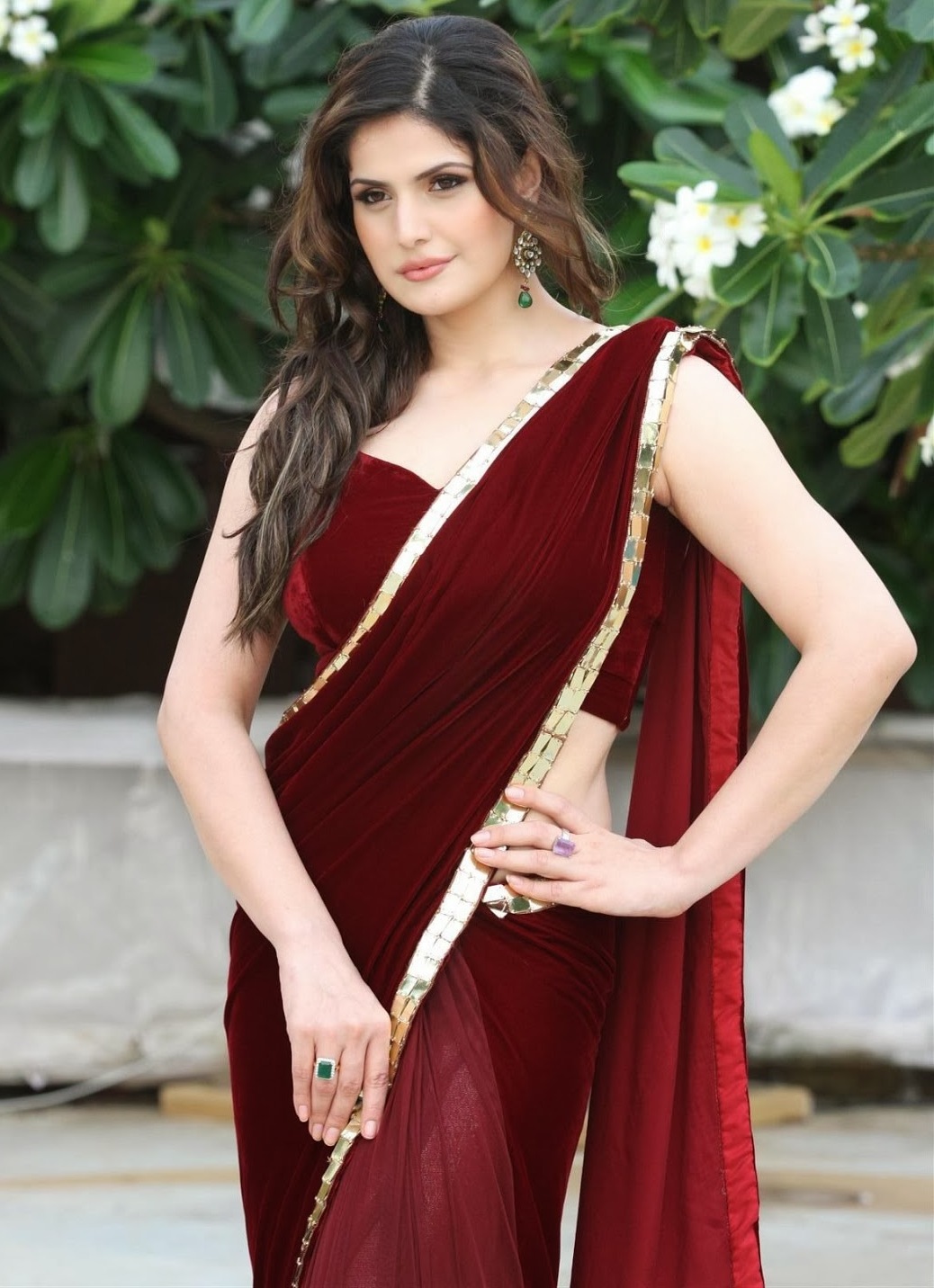 Zarine khan Hot bikini images
