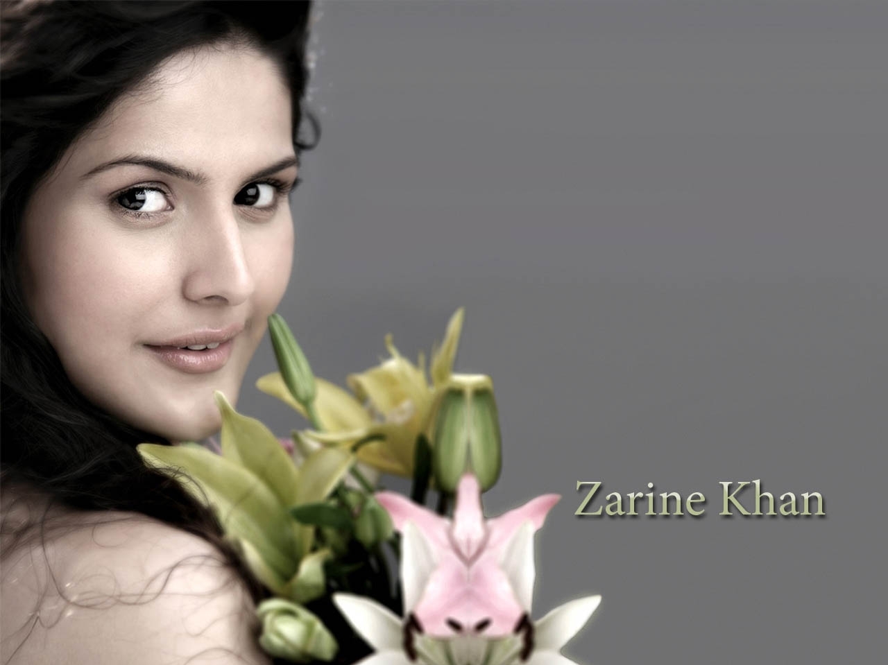 Zarine khan Hot bikini images