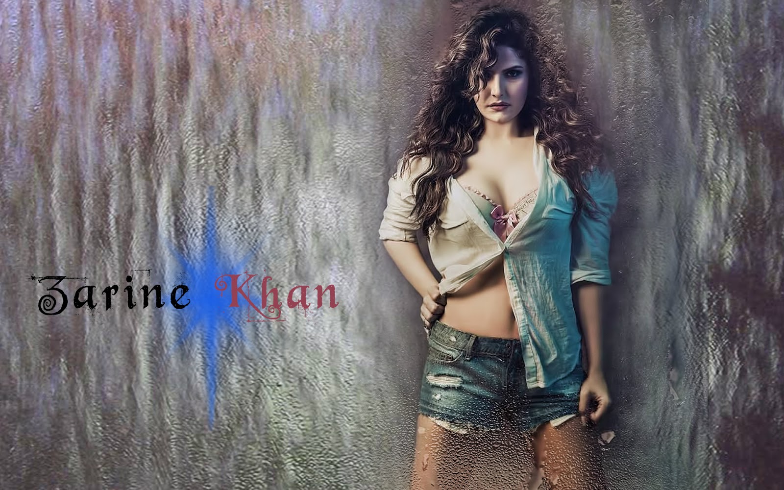 Zarine khan Hot bikini images