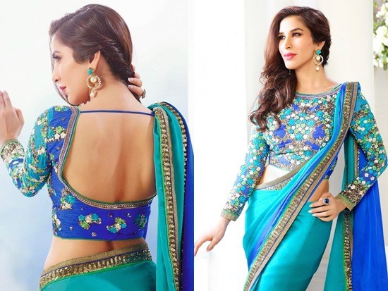 Backless blouse designs Saree with images