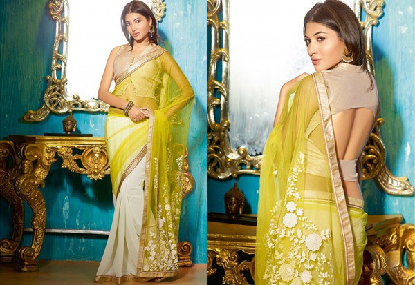 Backless blouse designs Saree with images