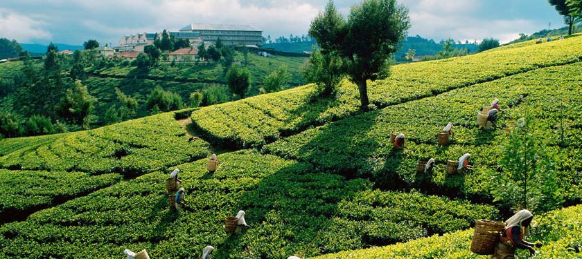 Land Of Backwaters Exotic Kerala