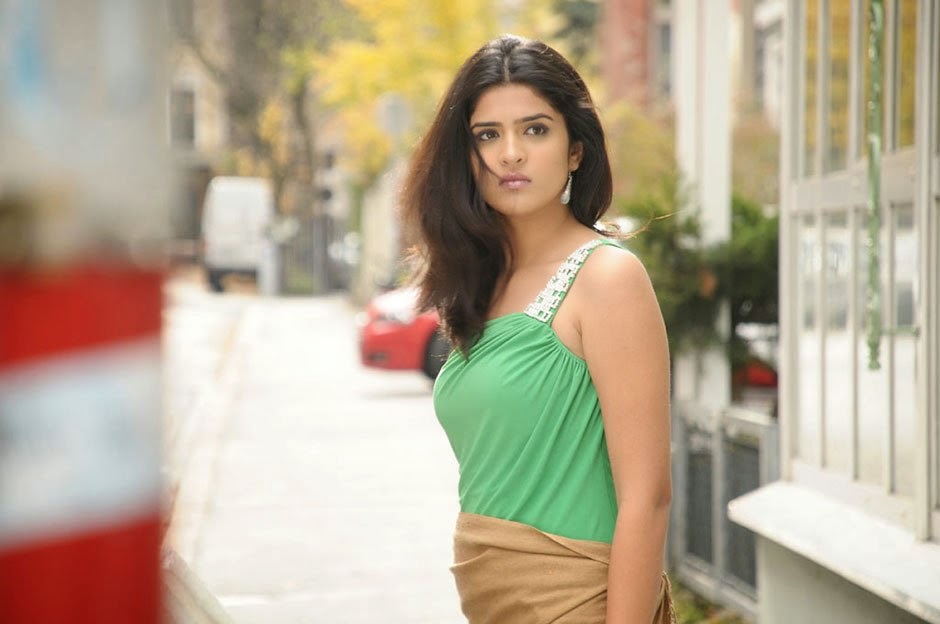 Deeksha Seth Hot Photo Gallery