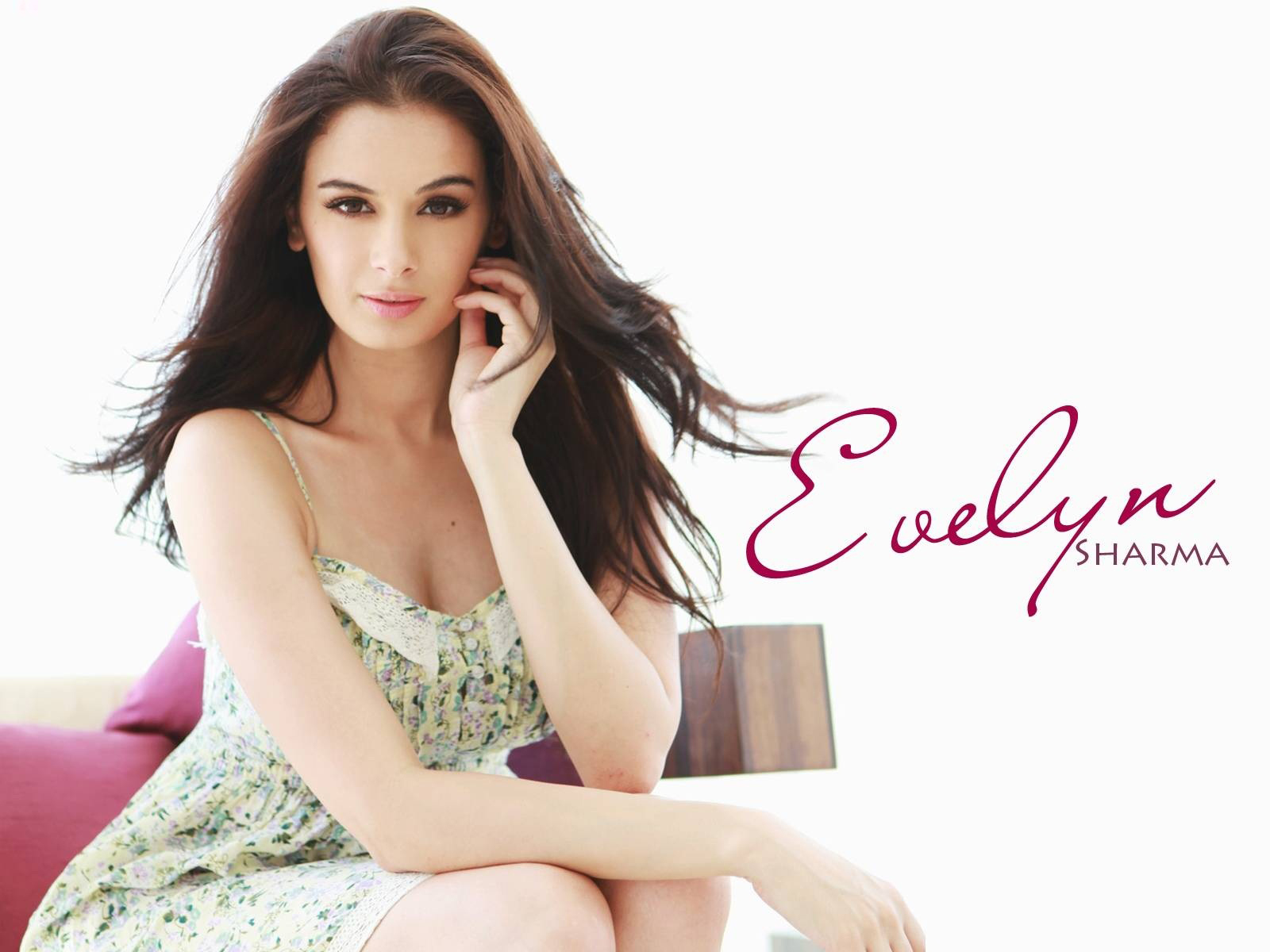 >Evelyn Sharma Hot HD Bikini Wallpaper