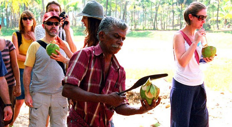 kerala Coconut Water from Roadside