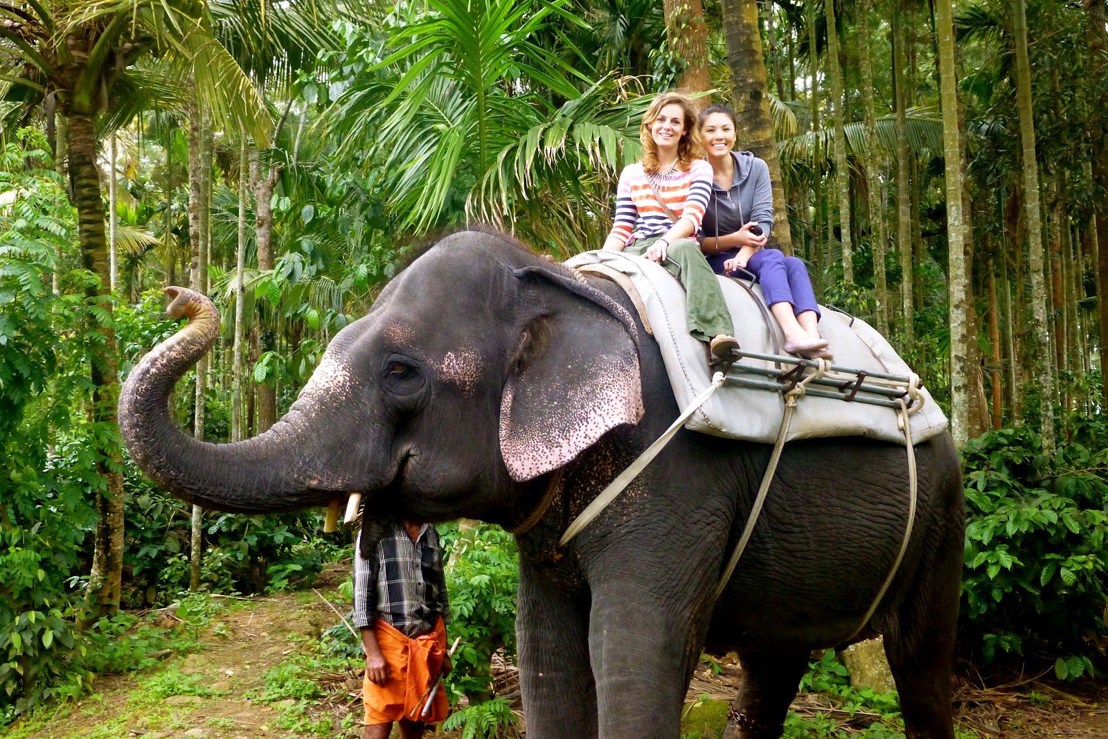 Kerala Elephant Ride