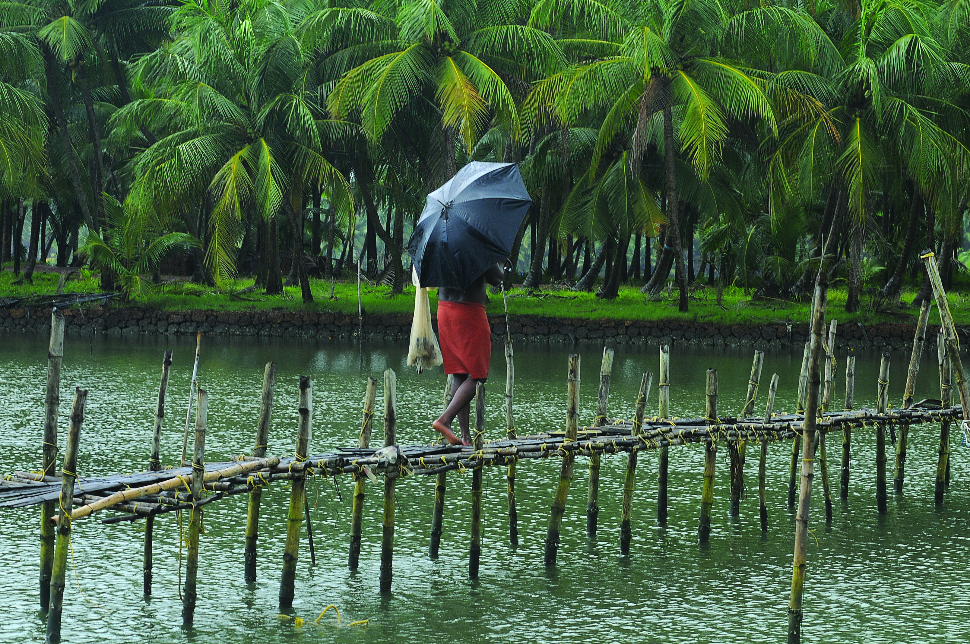 kerala hill stations