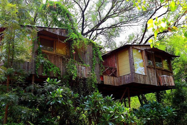 Kerala Stay in Tree House