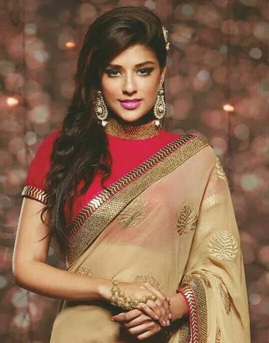 Indian Wedding Blouse Design
