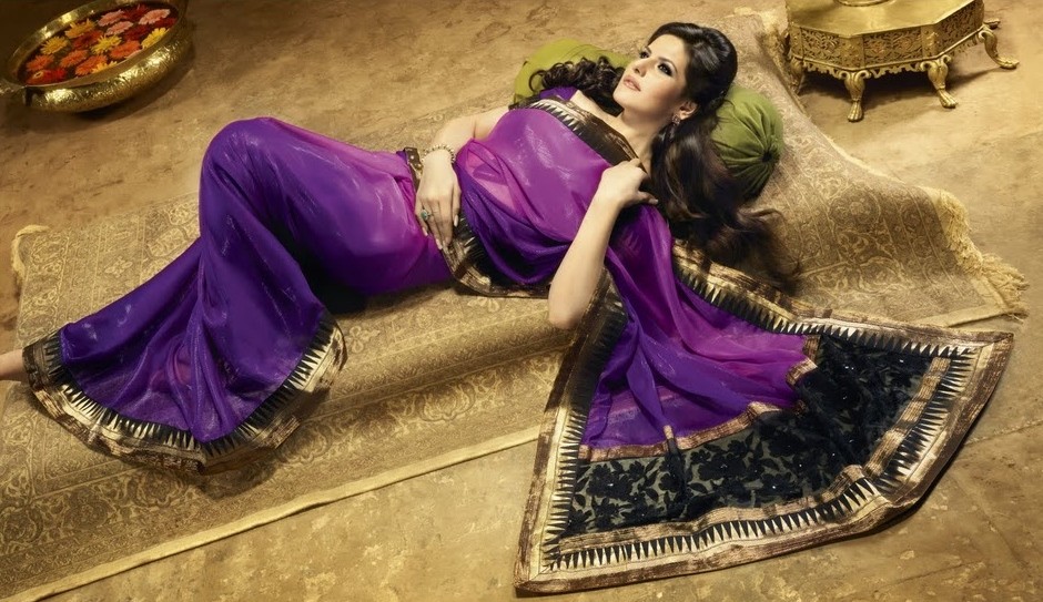 Zarine khan Photos In Saree