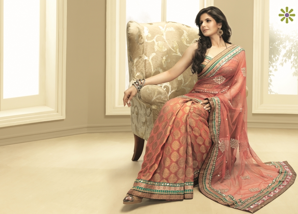 Zarine khan Photos In Saree