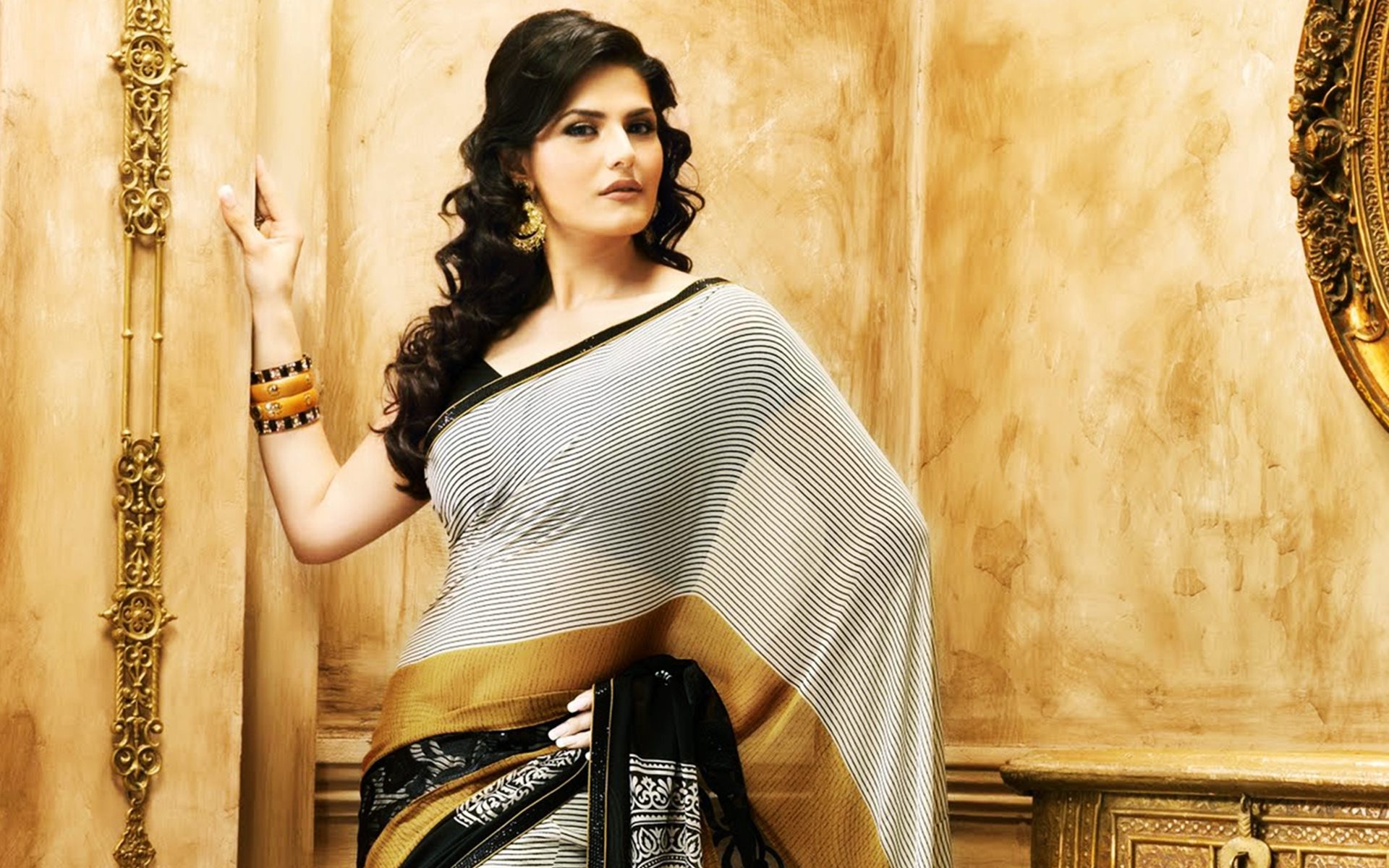 Zarine khan Photos In Saree