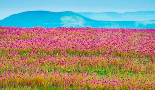 10-best-places-for-nature-lovers-in-india
