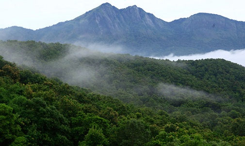 10-best-places-for-nature-lovers-in-india
