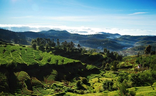 10-best-places-for-nature-lovers-in-india