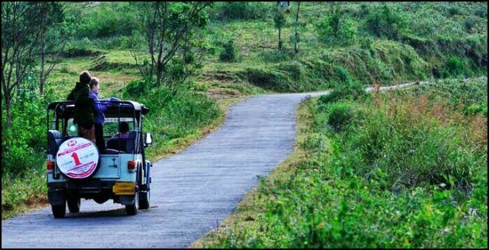 Take the Periyar Jungle Jeep Ride Take the Periyar Jungle Jeep Ride