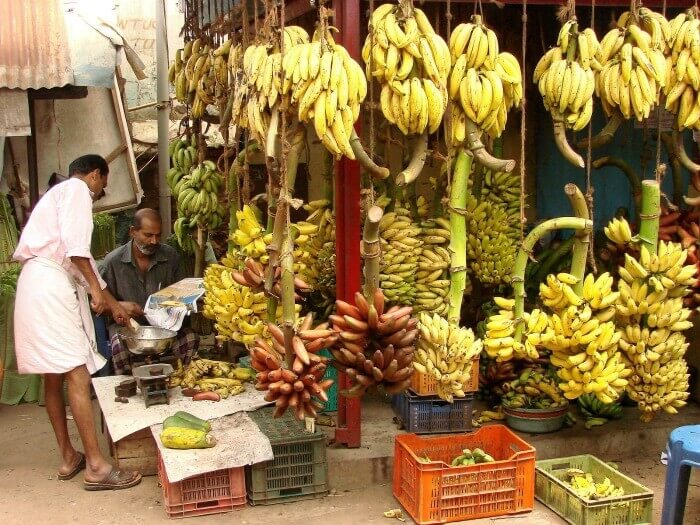 Eat Bananas Eat Bananas