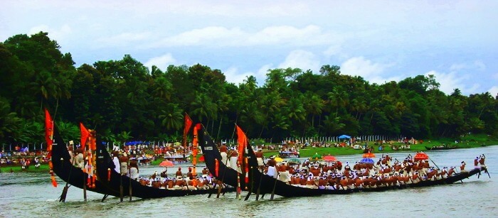 Watch the Snake Boat Races Watch the Snake Boat Races