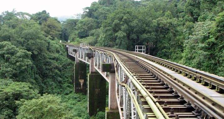 Malnad Magic Malnad Magic