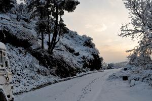 Book a romantic stay amidst the hills of Shimla