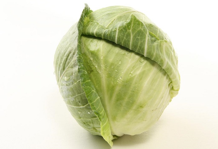 Cabbage