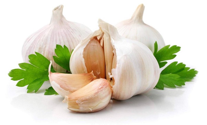 Garlic