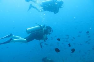 Go scuba-diving at Havelock Island