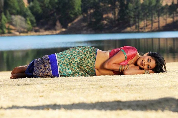 Priyamani Hot Photo
