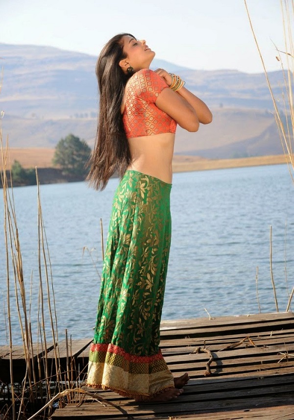 Priyamani Hot Photo