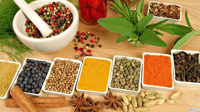 Indian health traditions