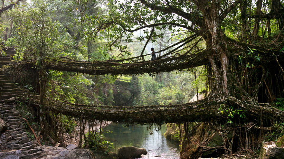 Meghalaya The Rainiest Place on Earth Meghalaya The Rainiest Place on Earth