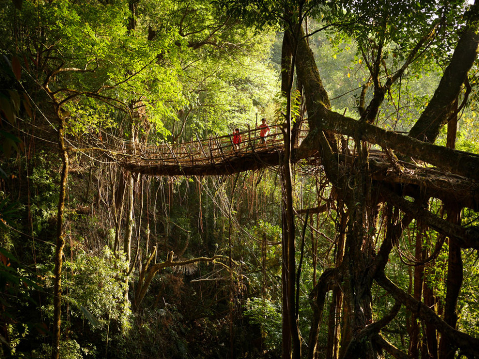 Meghalaya The Rainiest Place on Earth Meghalaya The Rainiest Place on Earth