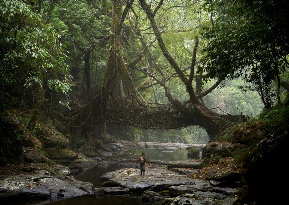 Meghalaya The Rainiest Place on Earth Meghalaya The Rainiest Place on Earth
