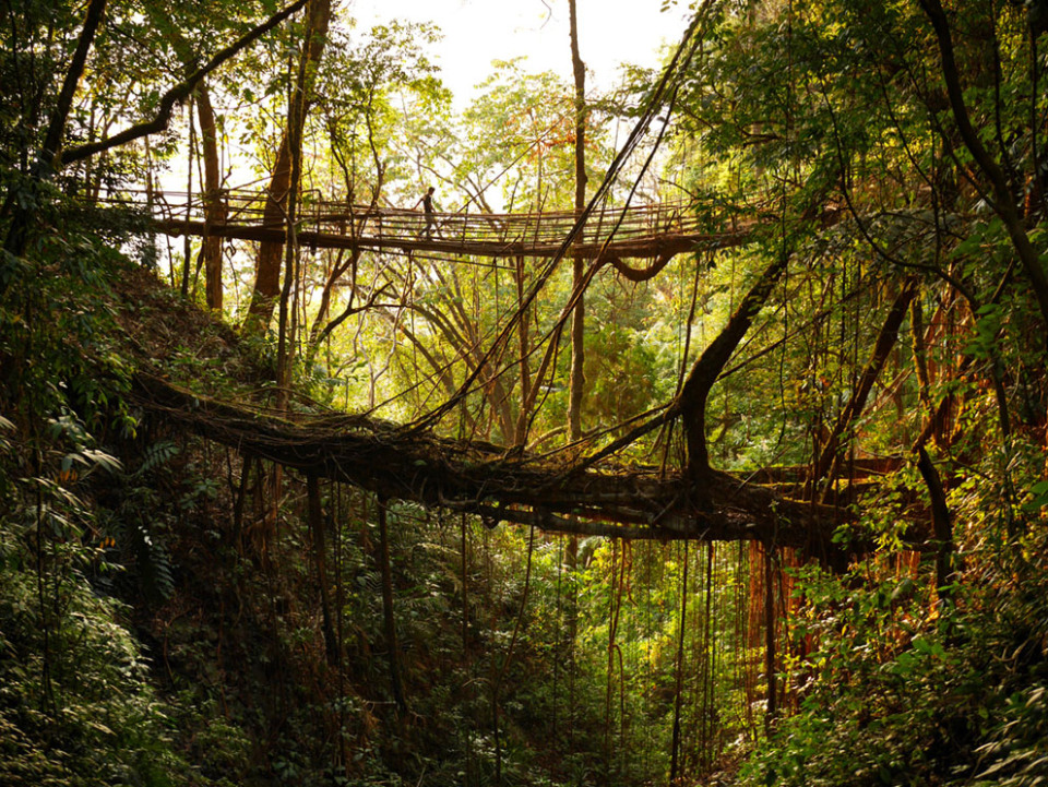 Meghalaya The Rainiest Place on Earth Meghalaya The Rainiest Place on Earth