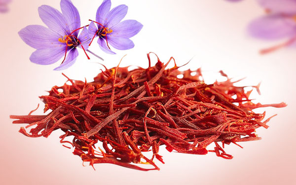 Mind Power Herbals Mind Power Herbals